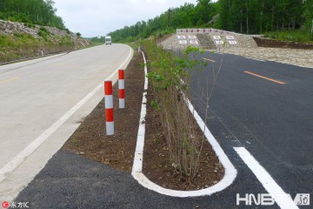 黑土地上勁吹 綠色風 黑河綠色農業發展見聞