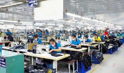 東莞電子廠外遷越南，工人失業困境與網絡技術服務解決方案